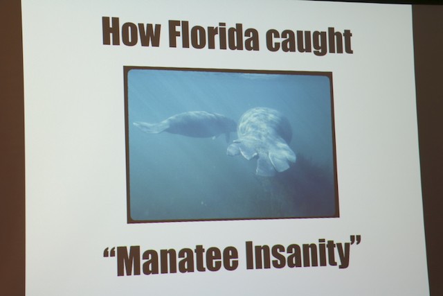 At The Museum Quot Manatee Insanity Quot Useppa Island