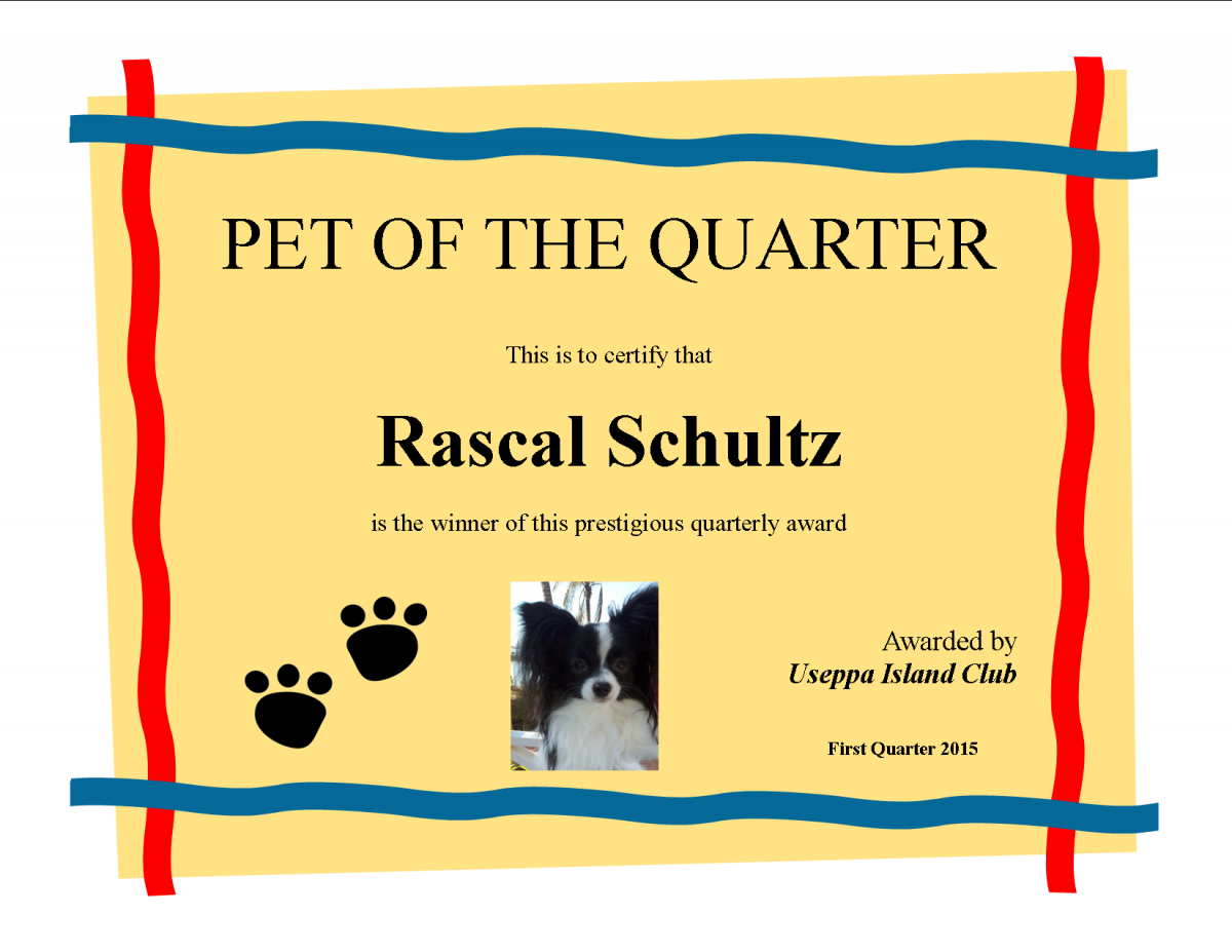 Pet of the 1st Quarter 2015